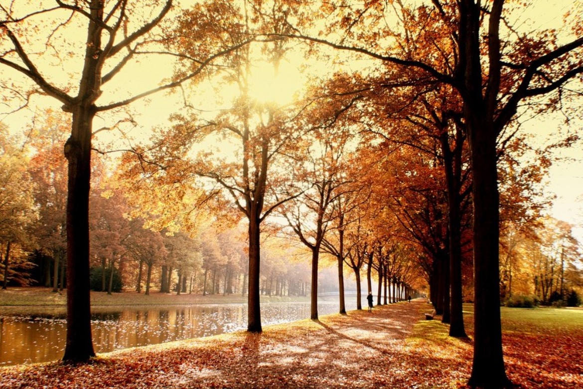 Activiteiten november