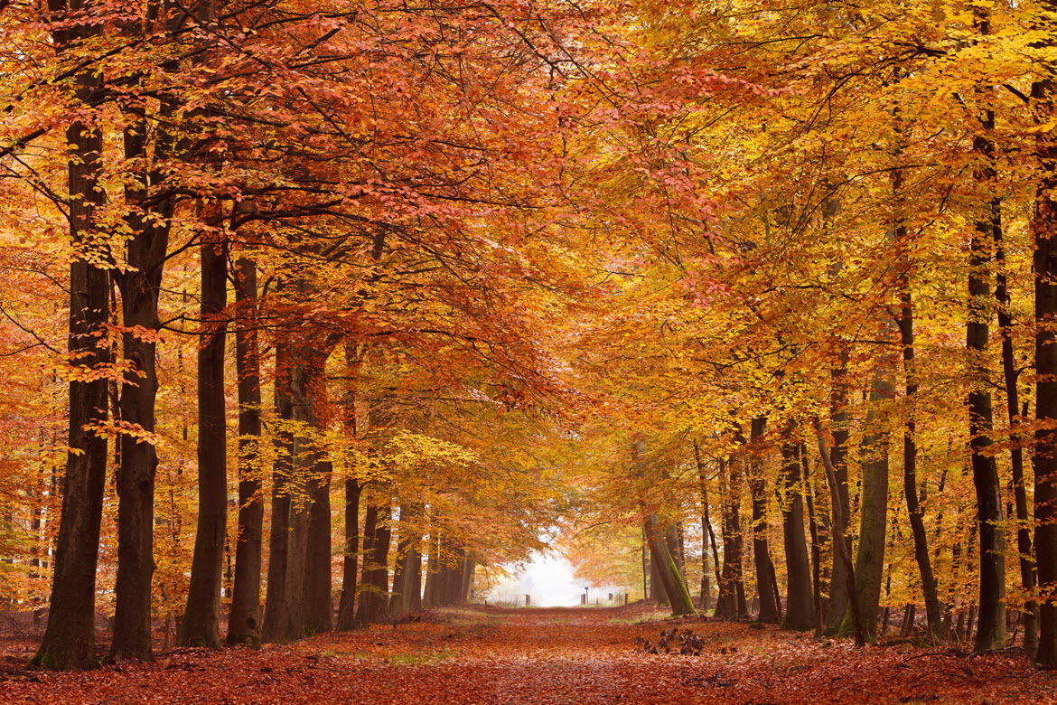 Activiteiten oktober